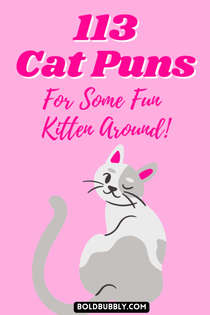 cat puns for instagram