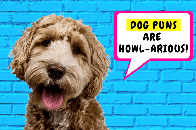 dog puns