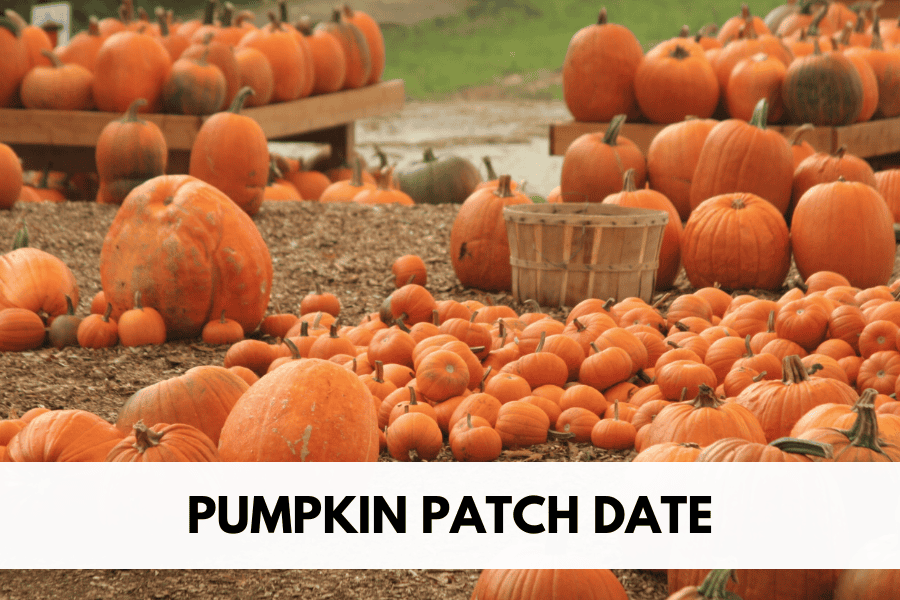 Pumpkin Patch Date A Cozy Fall Date Idea Bold & Bubbly