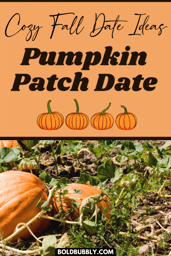 Pumpkin Patch Date A Cozy Fall Date Idea Bold & Bubbly