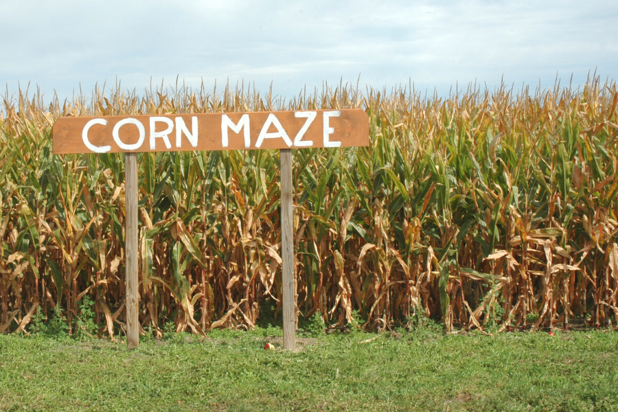 Cozy Corn Maze Date Ideas for Fall