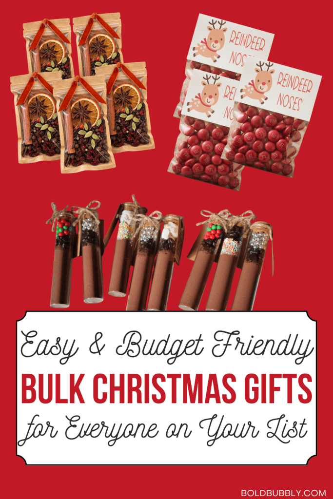bulk christmas gift ideas